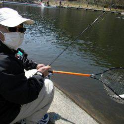 平谷湖フィッシングスポット 釣果