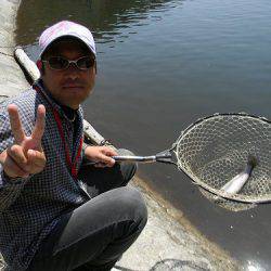 平谷湖フィッシングスポット 釣果