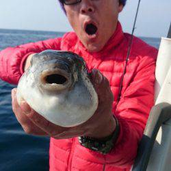 ARCADIAⅡ (アルカディアⅡ) 釣果