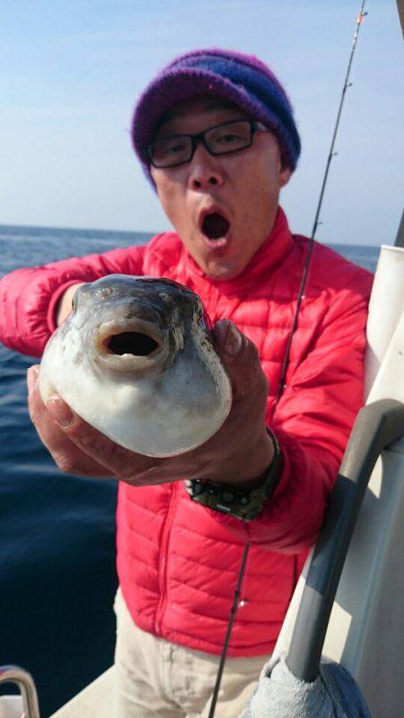 ARCADIAⅡ (アルカディアⅡ) 釣果