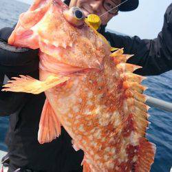 ARCADIAⅡ (アルカディアⅡ) 釣果