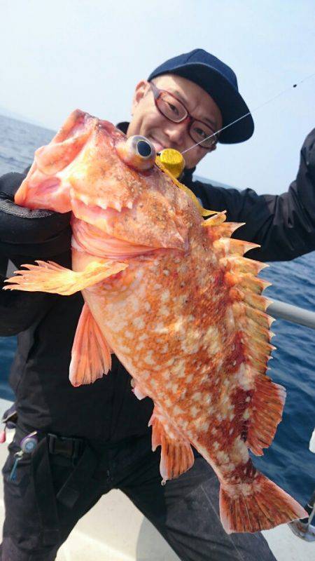 ARCADIAⅡ (アルカディアⅡ) 釣果