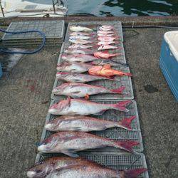 ARCADIAⅡ (アルカディアⅡ) 釣果