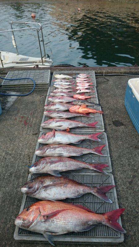 ARCADIAⅡ (アルカディアⅡ) 釣果