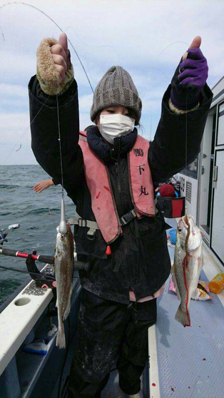 金沢八景鴨下丸 釣果