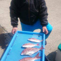 第三共栄丸 釣果