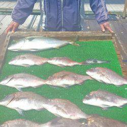 海の釣堀 海恵 釣果