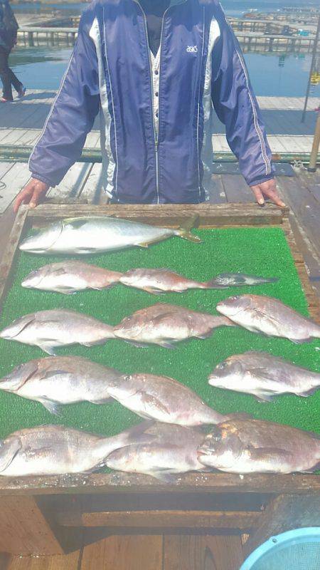 海の釣堀 海恵 釣果