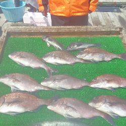 海の釣堀 海恵 釣果