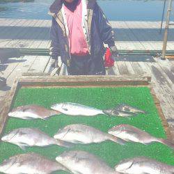 海の釣堀 海恵 釣果