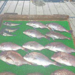 海の釣堀 海恵 釣果