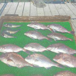 海の釣堀 海恵 釣果