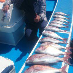 第三共栄丸 釣果