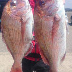 第三共栄丸 釣果