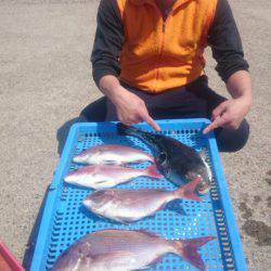 第三共栄丸 釣果