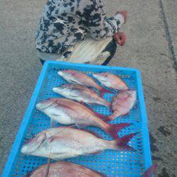 第三共栄丸 釣果