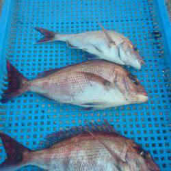 第三共栄丸 釣果