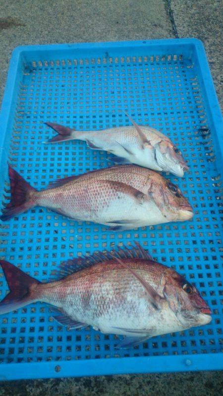 第三共栄丸 釣果