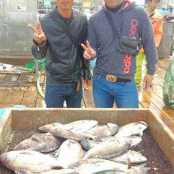 海の釣堀 海恵 釣果