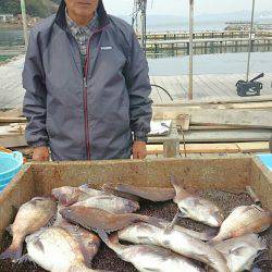海の釣堀 海恵 釣果