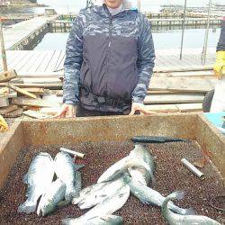 海の釣堀 海恵 釣果