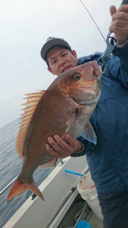 ARCADIAⅡ (アルカディアⅡ) 釣果