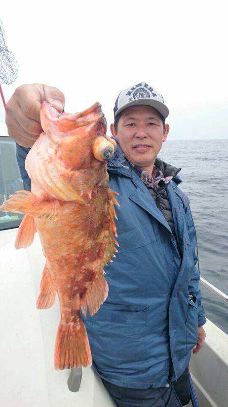 ARCADIAⅡ (アルカディアⅡ) 釣果