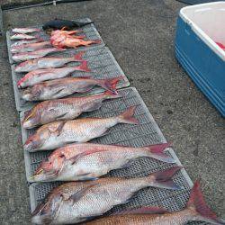 ARCADIAⅡ (アルカディアⅡ) 釣果