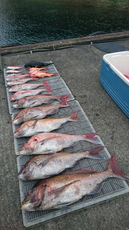 ARCADIAⅡ (アルカディアⅡ) 釣果