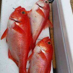 金沢八景鴨下丸 釣果