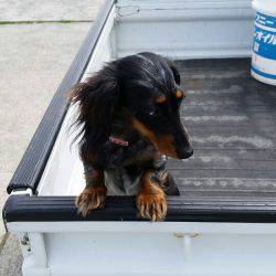 金沢八景鴨下丸 釣果