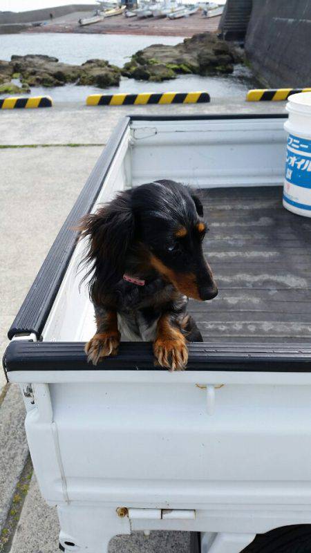 金沢八景鴨下丸 釣果