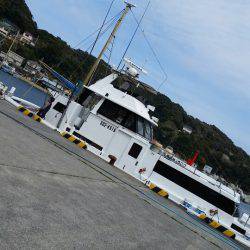 金沢八景鴨下丸 釣果