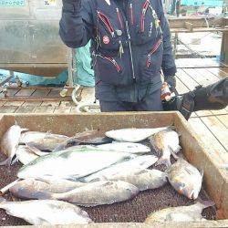 海の釣堀 海恵 釣果