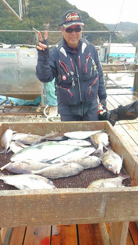 海の釣堀 海恵 釣果