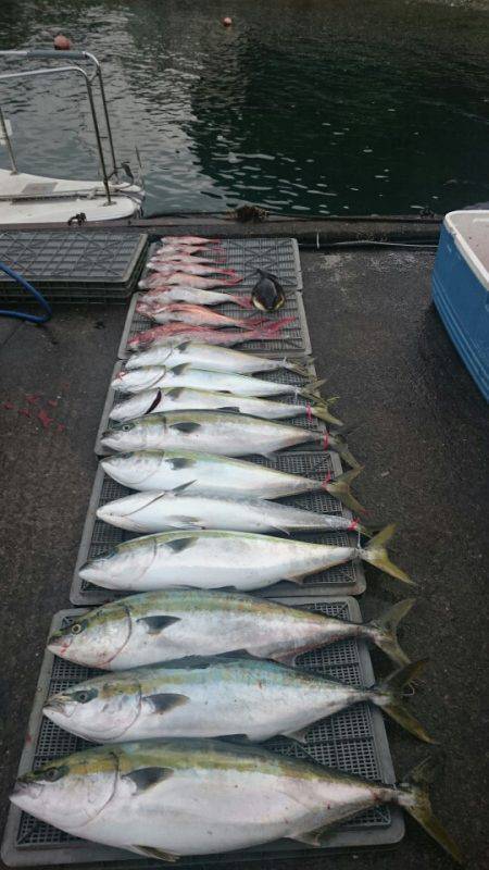 ARCADIAⅡ （アルカディアⅡ） 釣果…