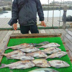海の釣堀 海恵 釣果
