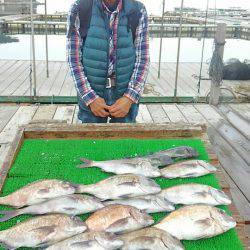 海の釣堀 海恵 釣果