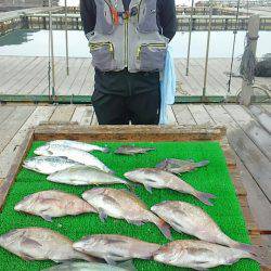 海の釣堀 海恵 釣果