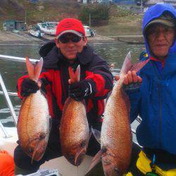 ブルドック 釣果