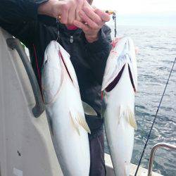 ARCADIAⅡ (アルカディアⅡ) 釣果