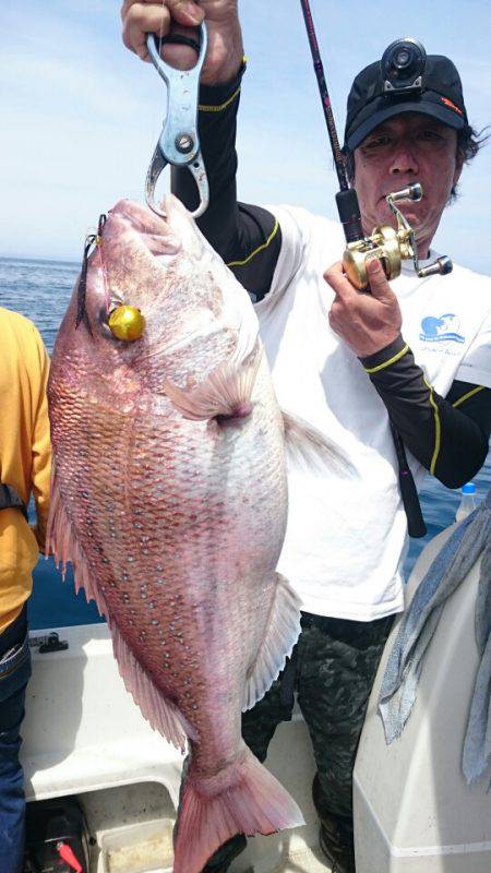 ARCADIAⅡ (アルカディアⅡ) 釣果