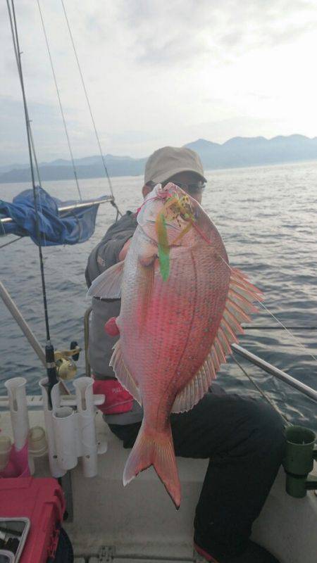 ARCADIAⅡ (アルカディアⅡ) 釣果