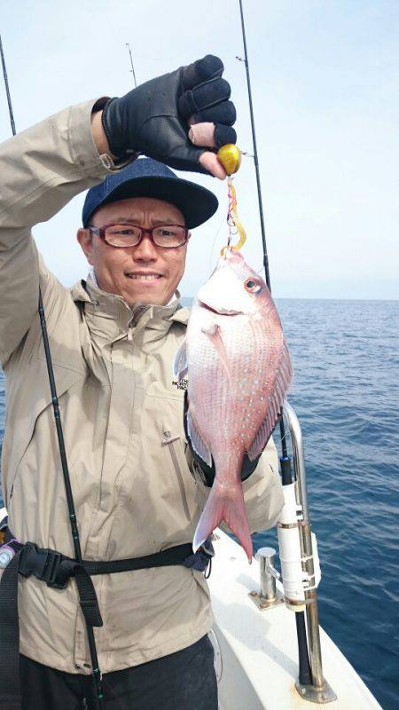 ARCADIAⅡ (アルカディアⅡ) 釣果