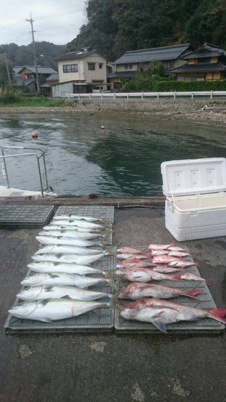 ARCADIAⅡ (アルカディアⅡ) 釣果