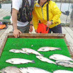 海の釣堀 海恵 釣果