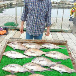 海の釣堀 海恵 釣果