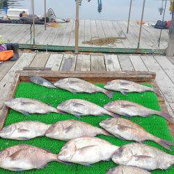 海の釣堀 海恵 釣果