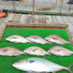 海の釣堀 海恵 釣果