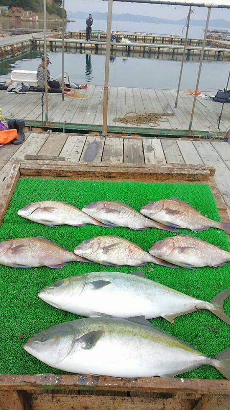 海の釣堀 海恵 釣果